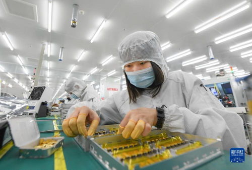 靠譜服務驅(qū)動技術創(chuàng)新，標準引領未來——一家光通信企業(yè)的出海秘籍